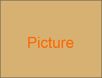 pic1